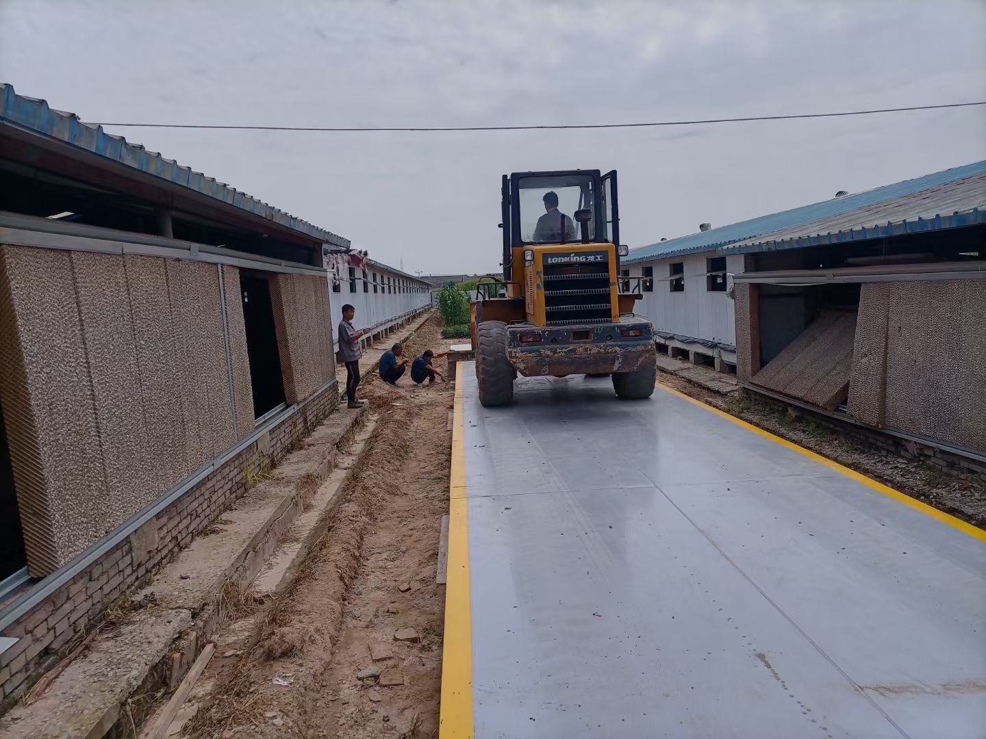 称重仪表的分类 称重仪表的分类